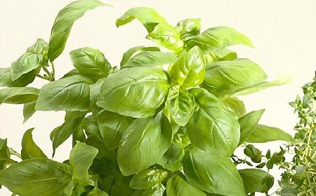 Pesto z pietruszką: pyszny sos ziołowy à la pesto